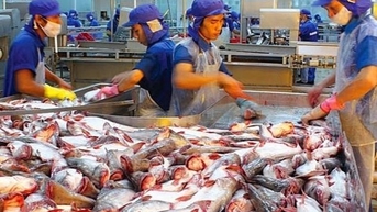 Xuất khẩu cá tra giá trị gia tăng sang Mỹ đạt đỉnh trong 10 năm