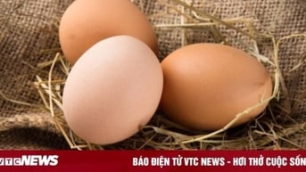 Thời điểm ăn trứng giúp ngủ ngon, hỗ trợ sức khỏe não bộ