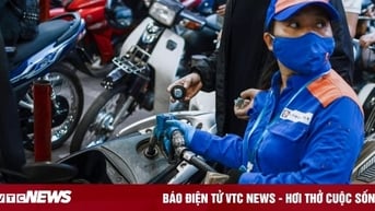 Giá xăng dầu hôm nay 7/11: Tăng giảm trái chiều do USD mạnh lên