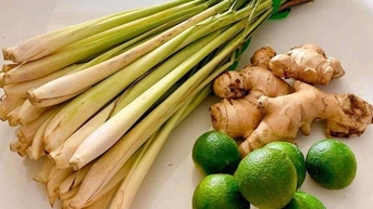 'Có 9X khởi nghiệp từ củ gừng, củ sả, thu cả trăm tỷ đồng/năm'