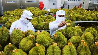 Thêm 3 mặt hàng mới được xuất khẩu sang Trung Quốc