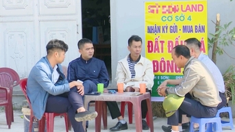 Huyện ven Hà Nội sắp đấu giá gần 100 lô đất, khởi điểm từ 1,5 triệu đồng/m2