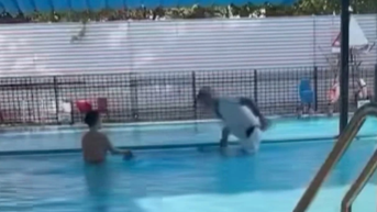 Nguyên nhân người đàn ông dìm cháu bé xuống bể bơi ở Hà Nội