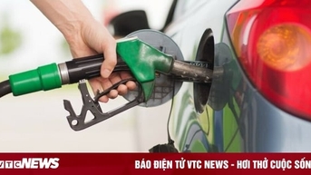 Giá xăng dầu hôm nay 10/11: Thế giới tiếp tục giảm nhẹ