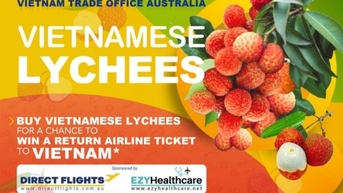Thương vụ Việt Nam tại Australia hợp tác với các nền tảng trực tuyến xúc tiến tiêu thụ quả vải