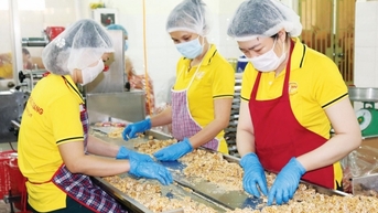 Nâng giá trị cho nông sản để chiếm lĩnh thị trường
