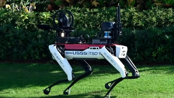 Chó robot tham gia bảo vệ ông Trump