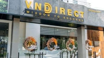 VNDirect (VND) đầu tư vào Lộc Trời lỗ 40%, bổ nhiệm chồng nữ đại gia Minh Hương làm Phó Chủ tịch