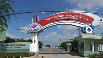 Một công ty thủy sản vừa huy động được nghìn tỷ đồng qua trái phiếu