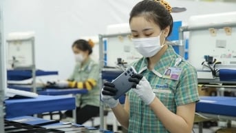 Công bố Bảng xếp hạng Top 500 doanh nghiệp lớn nhất Việt Nam năm 2024