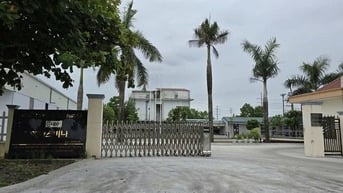 Hai doanh nghiệp nước ngoài ở Ninh Bình bị xử phạt