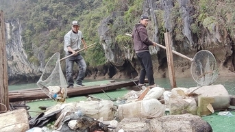 Điều tiết lượng khách để tránh quá tải trên vịnh Hạ Long
