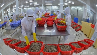 Xuất khẩu thủy sản tăng hơn 60% trong tháng 1/2024