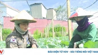 Nông dân Sơn La thu nhập ổn định từ trồng rau an toàn theo nhu cầu thị trường