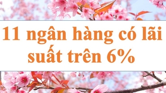 ការកើនឡើងជាបន្តបន្ទាប់ ធនាគារ 11 លើសពីសញ្ញា 6%