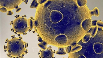 WHO đang theo dõi một số biến thể mới của virus SARS-CoV-2