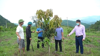 Giải quyết tình trạng thiếu đất ở, nhà ở trong đồng bào dân tộc