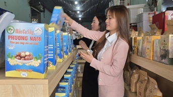 Công bố mô hình phát triển các mặt hàng tiềm năng khu vực vùng sâu tại huyện Đam Rông