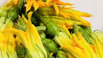 Bác sĩ tiết lộ những lợi ích tuyệt vời của hoa bí ngô
