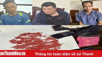 Triệt phá đường dây mua bán, vận chuyển hơn 3.000 viên ma túy tổng hợp từ Lào về Việt Nam