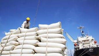Giá gạo Việt Nam xuất khẩu hạ nhiệt, nhưng vẫn cao