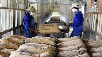 10 tháng đầu năm, xuất khẩu xi măng và clinker mang về 1,125 tỷ USD