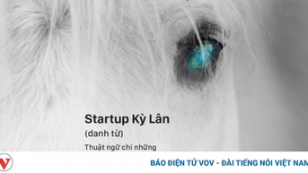 មេរៀនដ៏មានតម្លៃពីការចាប់ផ្តើមអាជីវកម្ម unicorn