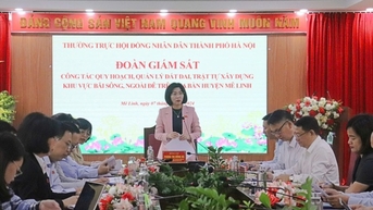 Thường trực HĐND TP giám sát việc quy hoạch, quản lý đất đai ngoài bãi sông tại Mê Linh