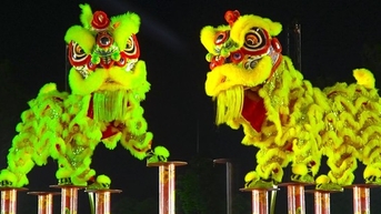 Đề xuất công nhận nghệ thuật múa Lân-Sư-Rồng là di sản văn hóa phi vật thể