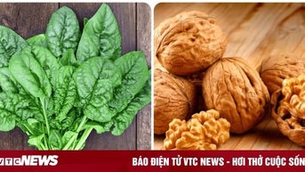 5 បន្លែ និងគ្រាប់សម្បូរអូមេហ្គា 3 ដែលអ្នកគួរញ៉ាំជាប្រចាំ