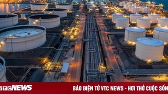Giá xăng dầu hôm nay 24/11: Giá dầu thế giới tăng mạnh, tuần bật tăng 6%