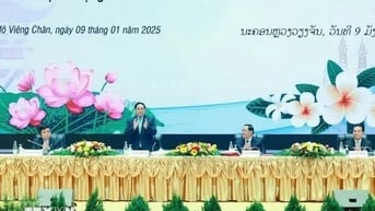 Ngành cao su Việt Nam tại Lào thu lời vượt kế hoạch