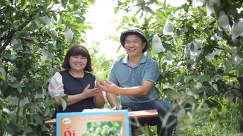 Sản phẩm OCOP có thương hiệu, nông dân một huyện ở Bắc Giang bán cả nghìn tấn ổi hết nhanh vèo vèo