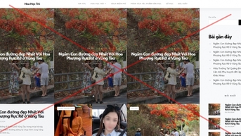Báo Tiền Phong thông báo về web giả mạo chuyên trang Hoa Học Trò điện tử