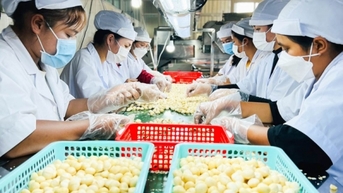 Bài 1: “Sức khỏe” của thị trường xuất khẩu và những thách thức cho doanh nghiệp Việt Nam