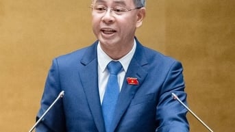 Khoanh nợ với gần 705.000 người nộp thuế