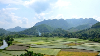 Tập trung sản xuất vụ Mùa đúng khung thời vụ