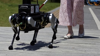 Chó robot dẫn đường hỗ trợ người khiếm thị