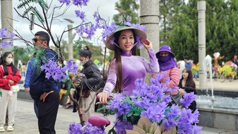 Giáo viên thành phố Festival hoa thi trang trí xe đạp hoa