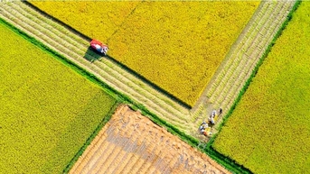 Khai mạc triển lãm và trao giải Cuộc thi ảnh nghệ thuật tỉnh Quảng Ngãi lần thứ IX