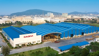 CADIVI đẩy mạnh thị trường miền Bắc, khẳng định vị thế dẫn đầu