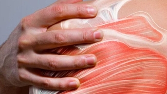 4 nguyên nhân gây đau nhức cơ thể dù không bị sốt
