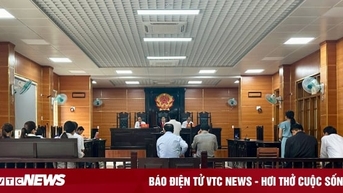 Thông thầu, 3 giám đốc doanh nghiệp lĩnh án