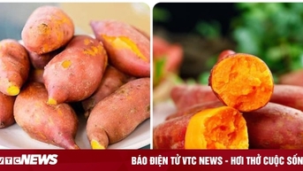 Có nên ăn khoai lang mỗi ngày?