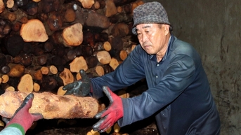 Nhọc nhằn nghề hầm than bên dòng Cái Côn