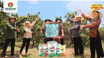 Điểm nhấn công nghệ số giúp Phân Bón Cà Mau đồng hành cùng nông dân