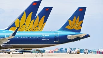 Chủ tịch Vietnam Airlines lo cạnh tranh khốc liệt, 'cá nhanh nuốt cá chậm'