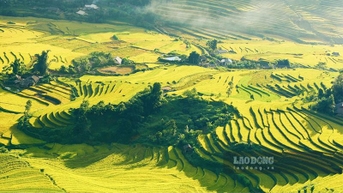 Việt Nam vào top 10 quốc gia hàng đầu thế giới cho du khách