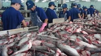 Kết luận rà soát hành chính thuế chống bán phá giá cá tra Việt Nam xuất khẩu sang Hoa Kỳ