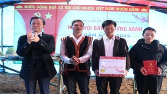 Xuân ấm áp ở làng Kon Tuông